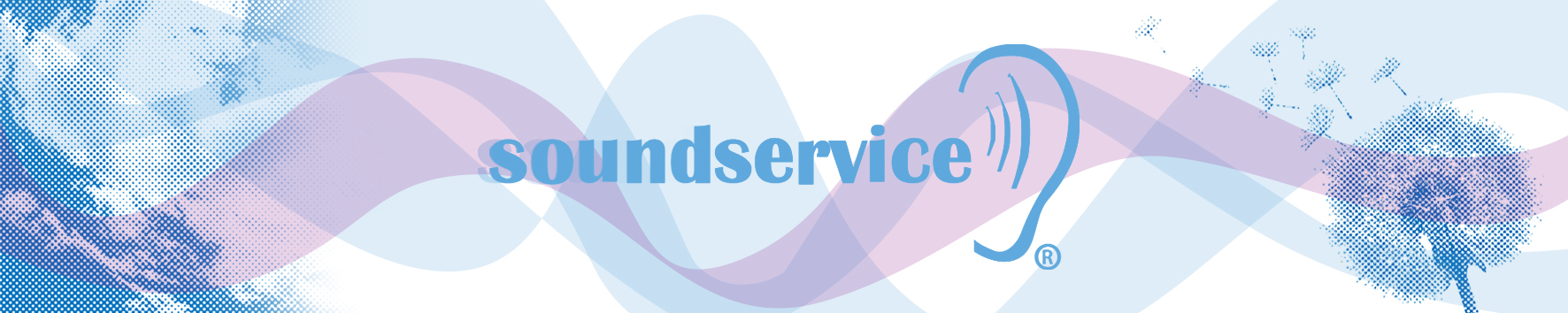soundservice testare auz simplu si diferit